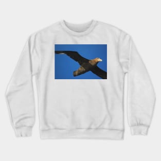 Giant Petrel Flying High Crewneck Sweatshirt